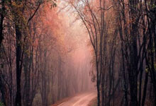 虎扑：[天下足球]告别热刺 凯恩转投拜仁慕尼黑.