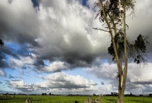 WTT球星挑战赛多哈站:国乒2金2银收官新华网.