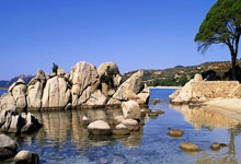 [高尔夫]世界排名：康纳斯升上第30位 威利普斯106希尔160.